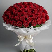Букет 101 Красная роза Блэк Мэджик #REPLACE_PRED# Лебяжье Курганской области