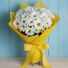 Букет цветов из:  Хризантемы в Лебяжье Курганской области