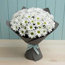 Букет цветов из:  Хризантемы в Лебяжье Курганской области