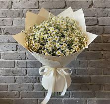 Букет цветов из:  Ромашки в Лебяжье Курганской области
