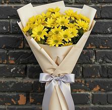Букет цветов из:  Хризантемы в Лебяжье Курганской области