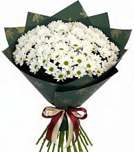 Букет цветов из:  Хризантемы в Лебяжье Курганской области