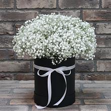 Цветочная композиция из Гипсофила в шляпной коробке в Лебяжье Курганской области