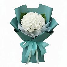 Букет цветов из:  Гортензия в Лебяжье Курганской области